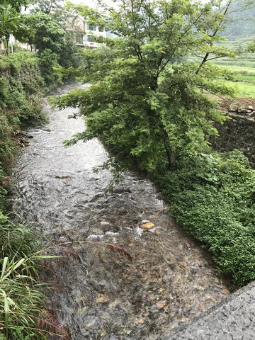 湖南邵阳白龙洞溶洞灯光升级设计方案施工(图5)