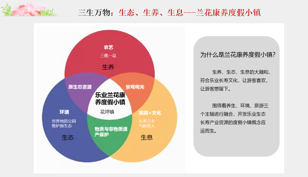 广西乐业兰花康养度假小镇规划设计(图5)