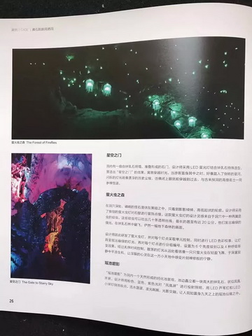 全国著名灯饰门户网站阿拉丁照明网专访重庆中景互维溶洞设计公司(图4)